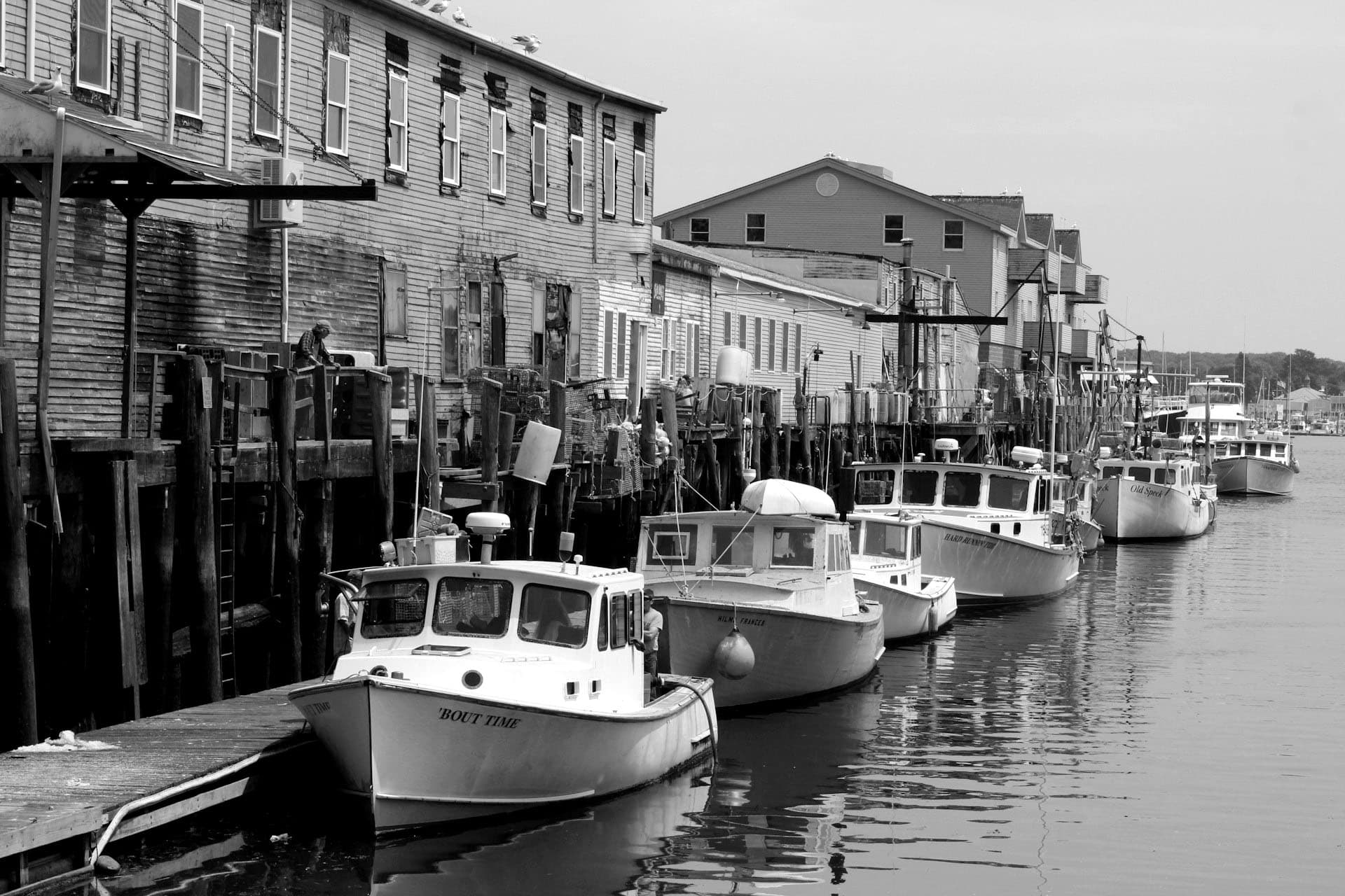Boats in Harbor