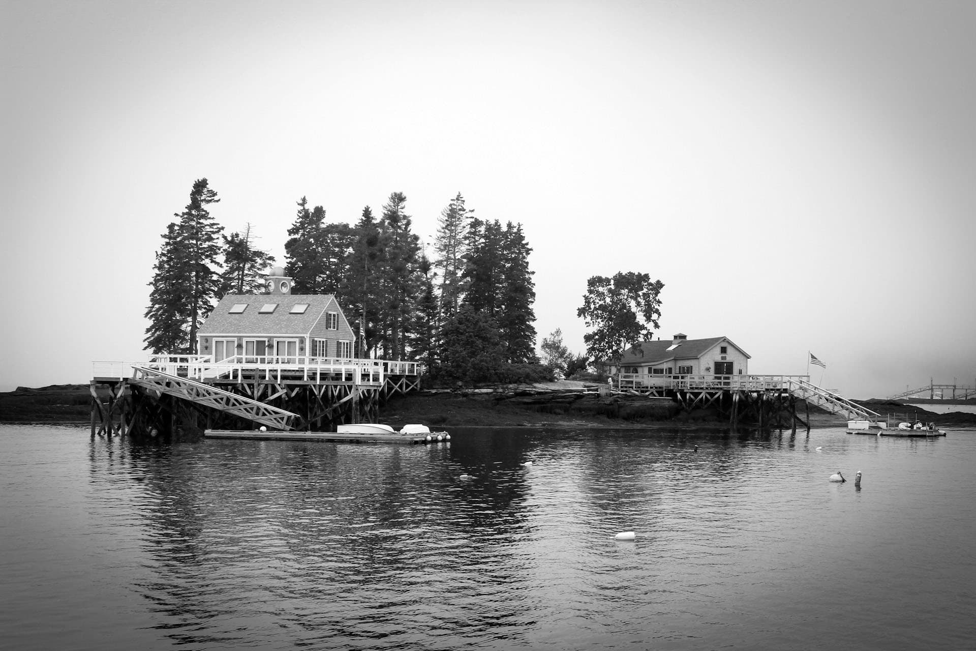 Licensing Image 2
